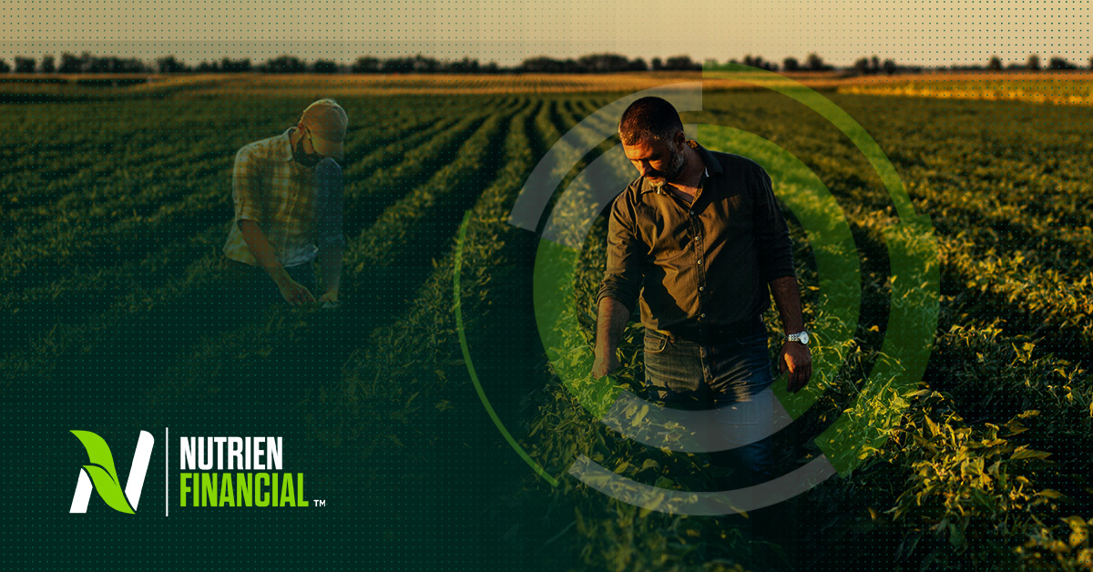 From Pressure to Potential: Growing Smarter Through the Cycle