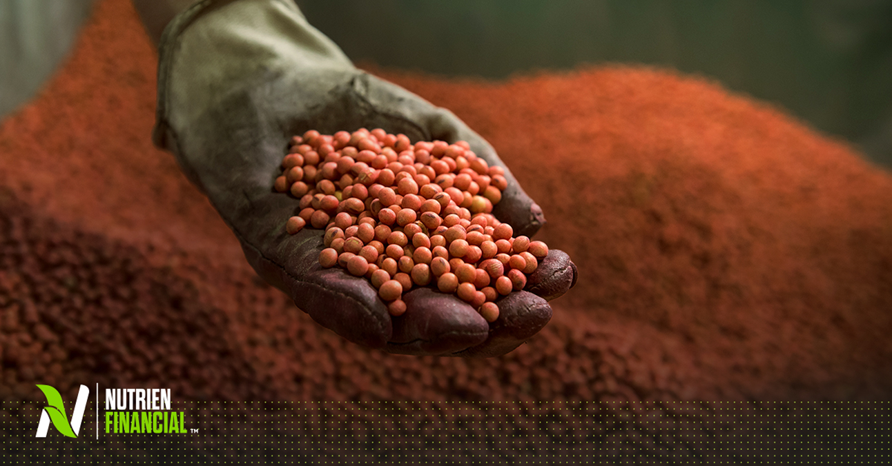 Seed Financing This Fall: Where Timing Can Create